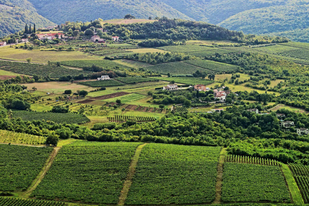 valpolicella_enoturismo_futuro Le aziende si dichiarano pronte a investire in un fenomeno che, seppur largamente inespresso, già oggi vale circa un quinto del fatturato di zona.