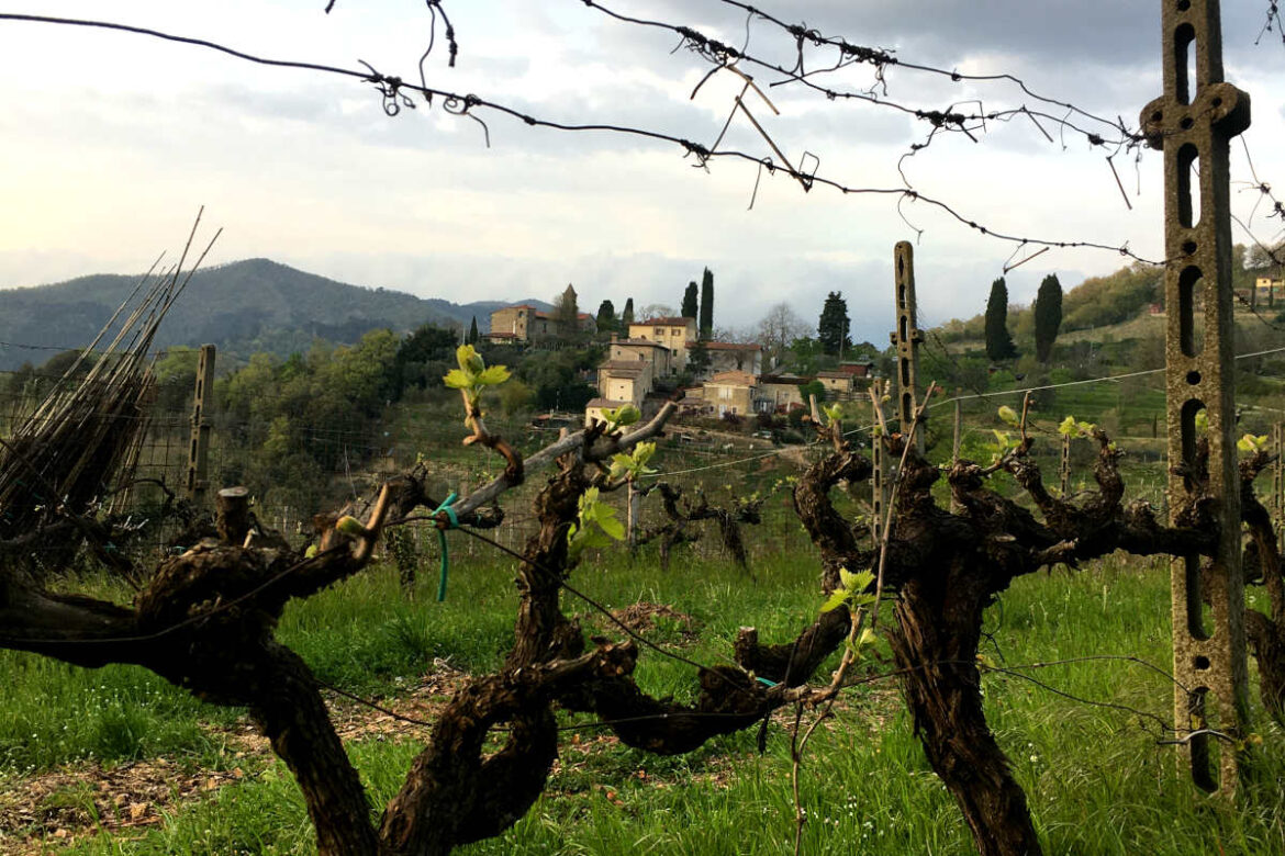 bike&wine_mugello (1)