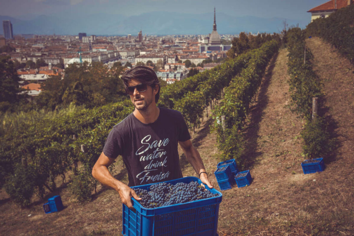 luca_balbiano_intervista (2) Storie e cultura del vino nella Winewave di Luca Balbiano