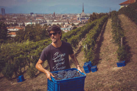 Storie e cultura del vino nella Winewave di Luca Balbiano