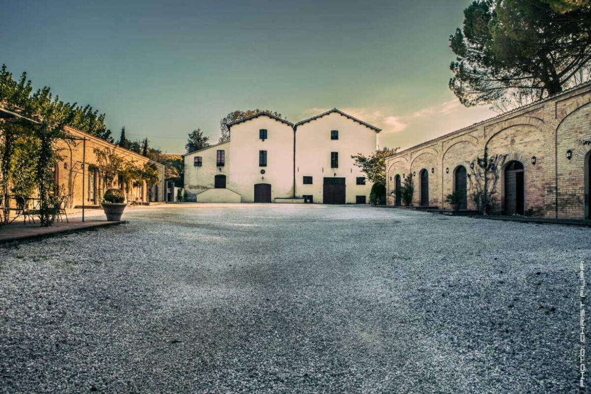 scacciadiavoli_azienda Scacciadiavoli e la leggenda del sagrantino