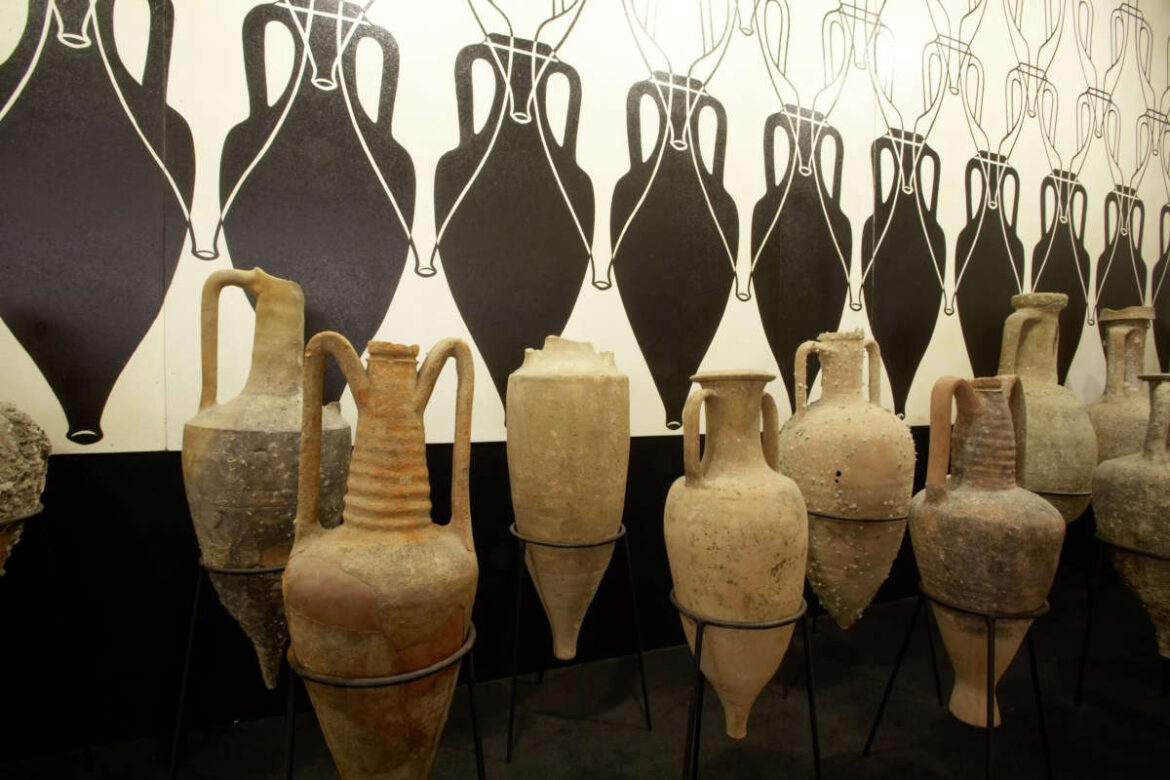 muvit_riapertura Dal 6 maggio il Museo del Vino e il Museo dell’Olivo e dell’Olio di Torgiano tornano ad accogliere i visitatori.