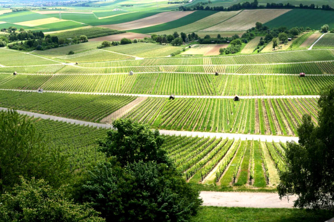 tavolo_del_turismo_enogastronomico