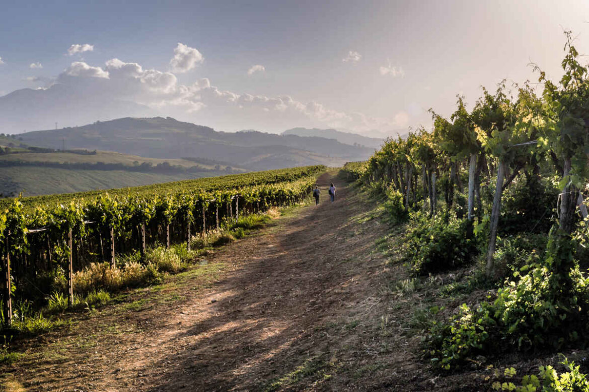 percorsi_app_consorzio_vini_abruzzo Con Abruzzo Wine Experience l’enoturismo è a portata di click