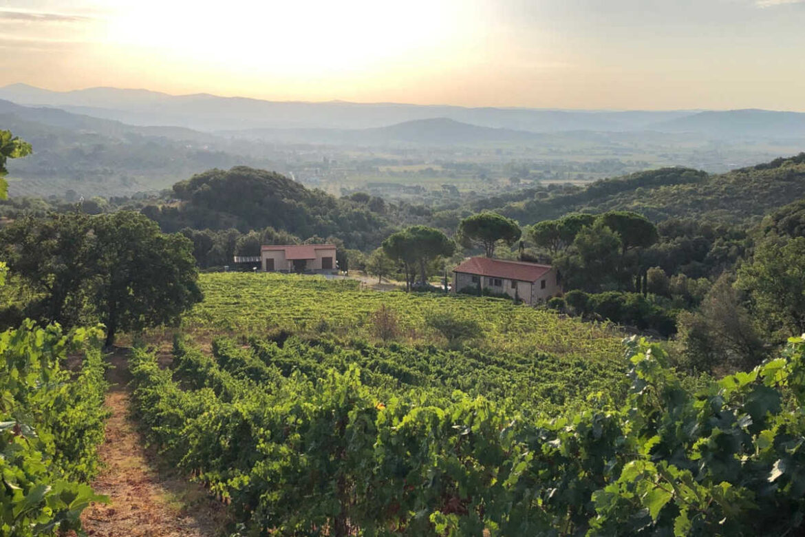 suvereto_wine_map L’associazione che raggruppa venti aziende del piccolo borgo toscano lancia il suo nuovo sito internet, ricco di informazioni enoturistiche fruibili tramite QR-Code.