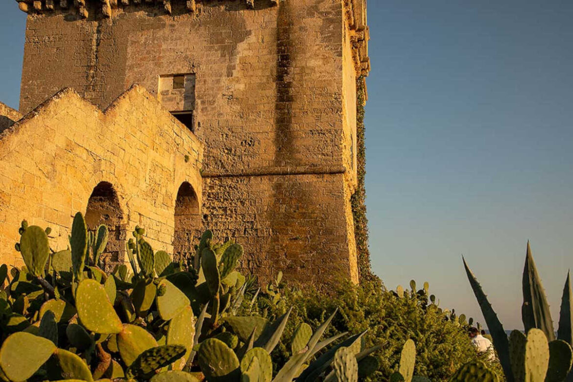 Nelle prossime settimane i wine lover potranno scoprire la zona di produzione della denominazione pugliese grazie ad un’iniziativa patrocinata dalla Regione Puglia.