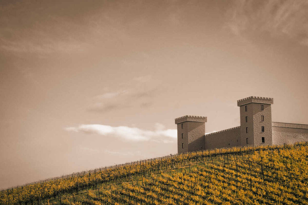 enoturismo-priante_unwto Priante (Unwto): “La pandemia ci ha fatto scoprire un nuovo modo di viaggiare. Non esiste destinazione che prescinda dall’offerta enogastronomica”.