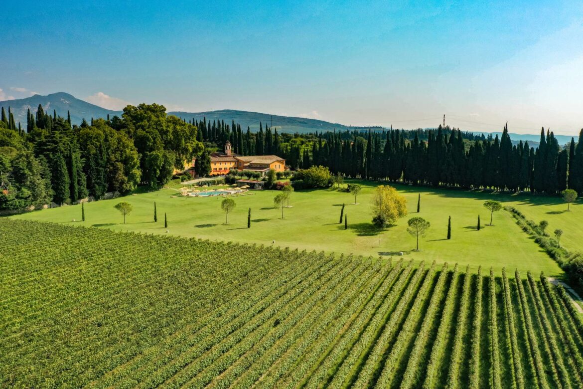 vigneti