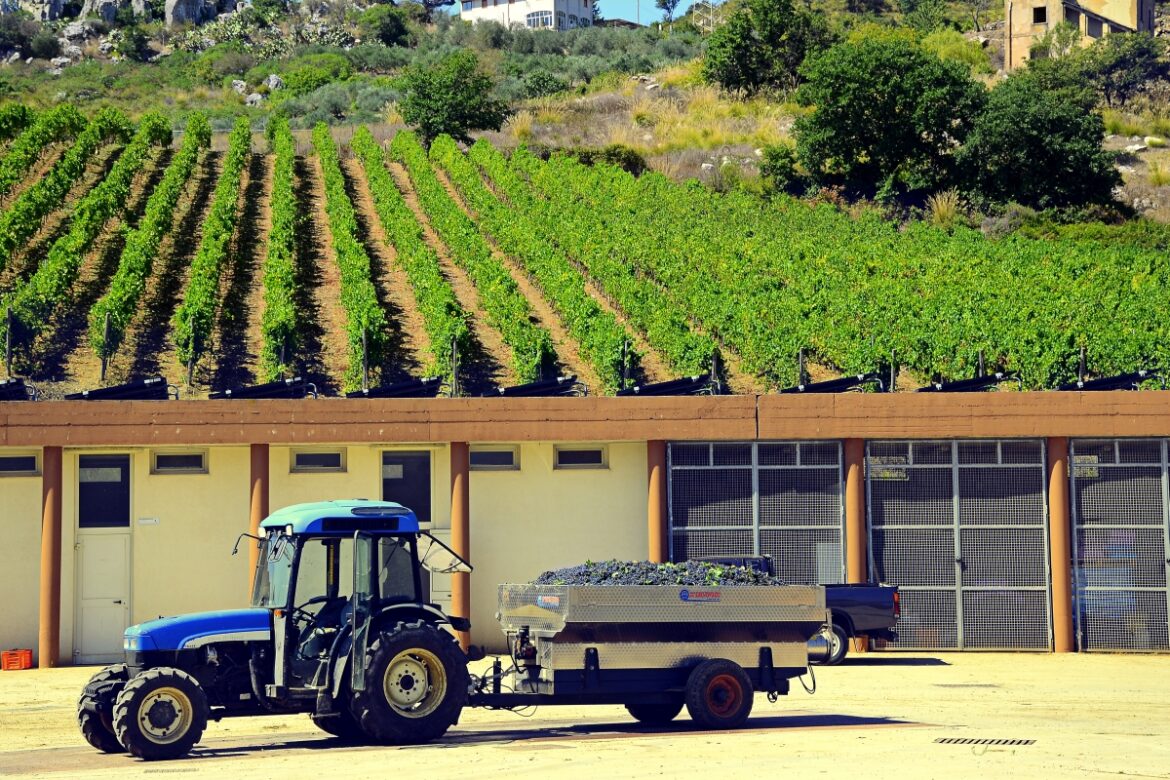 Tenuta Pianetto_SCristinaGela