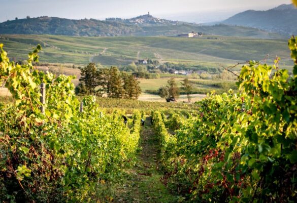 Cantina di Casteggio