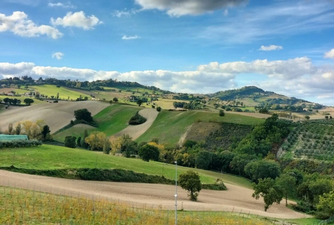 Panorama