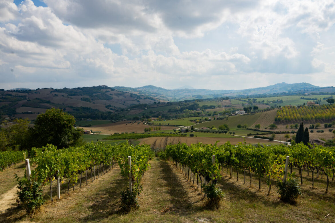 paesaggio 1