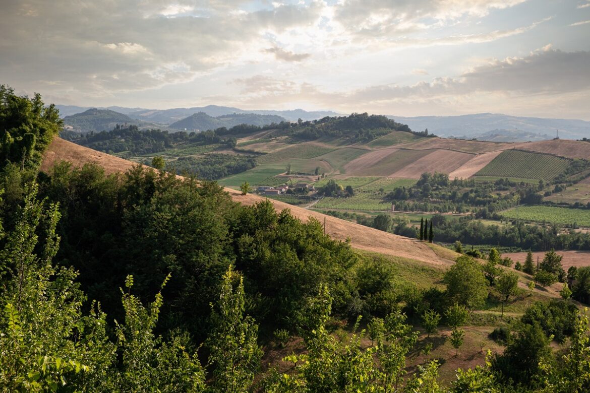 colli bolognesi – ph Marco-Parisi colli bolognesi paesaggio