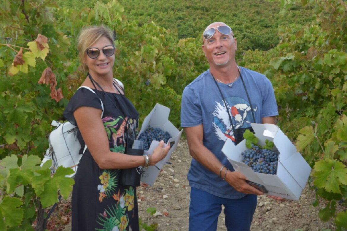 Per i 14 milioni di amanti del vino in Italia la vendemmia turistica viene finalmente regolamentata grazie all’accordo tra Ispettorato Nazionale del Lavoro e Associazione Nazionale Città del Vino. Per i 14 milioni di amanti del vino in Italia la vendemmia turistica viene finalmente regolamentata grazie all’accordo tra Ispettorato Nazionale del Lavoro e Associazione Nazionale Città del Vino.