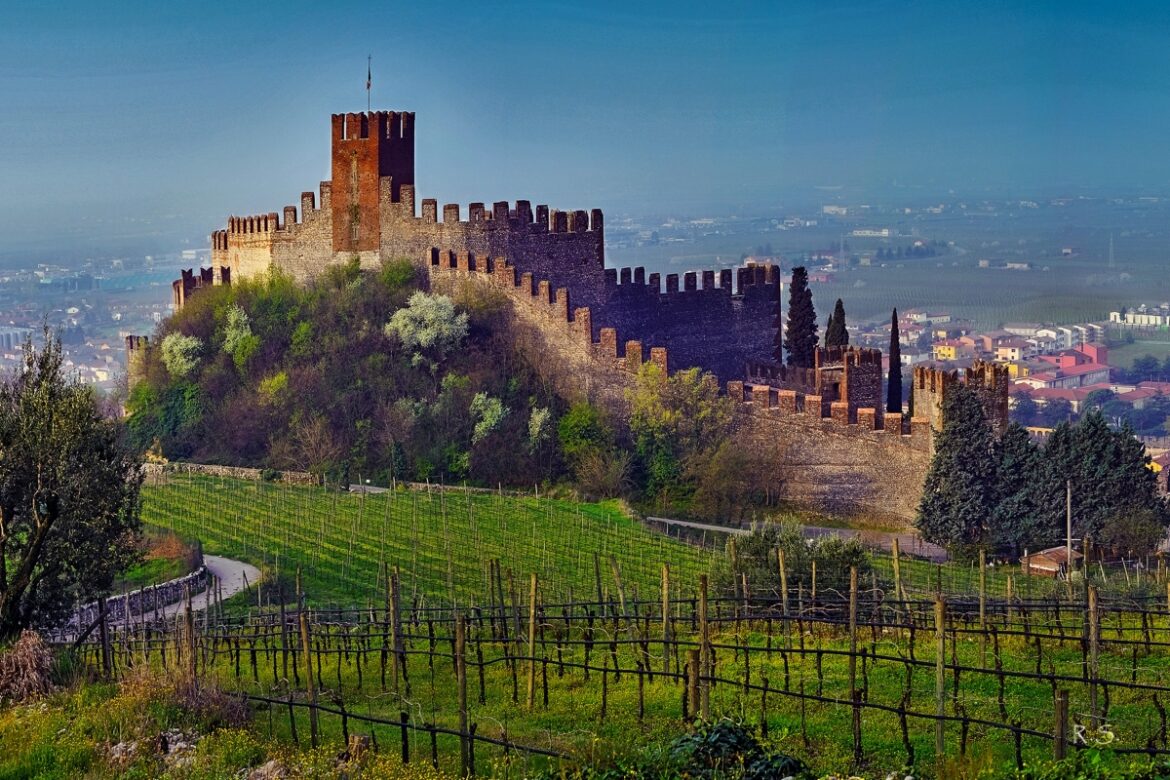 Prot_Par 0003772 del 18-02-2021 – Allegato Castello02
