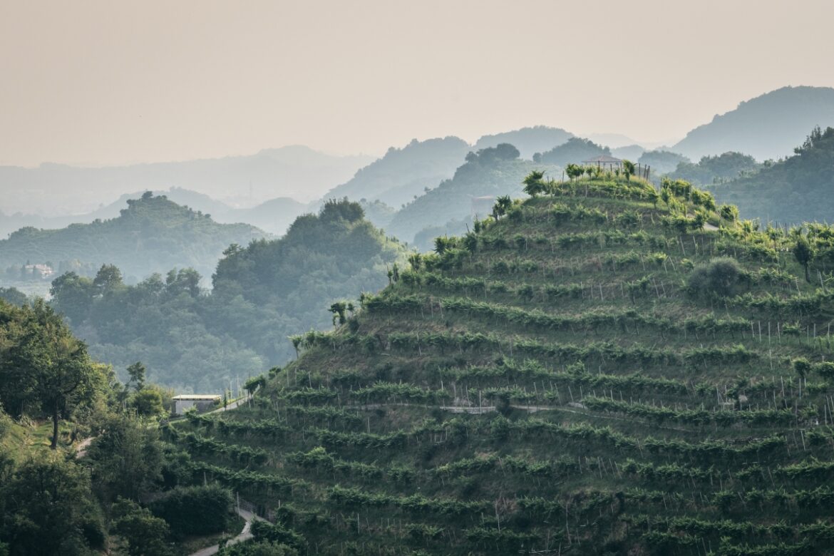 Foto Belvedere_La Farra 01