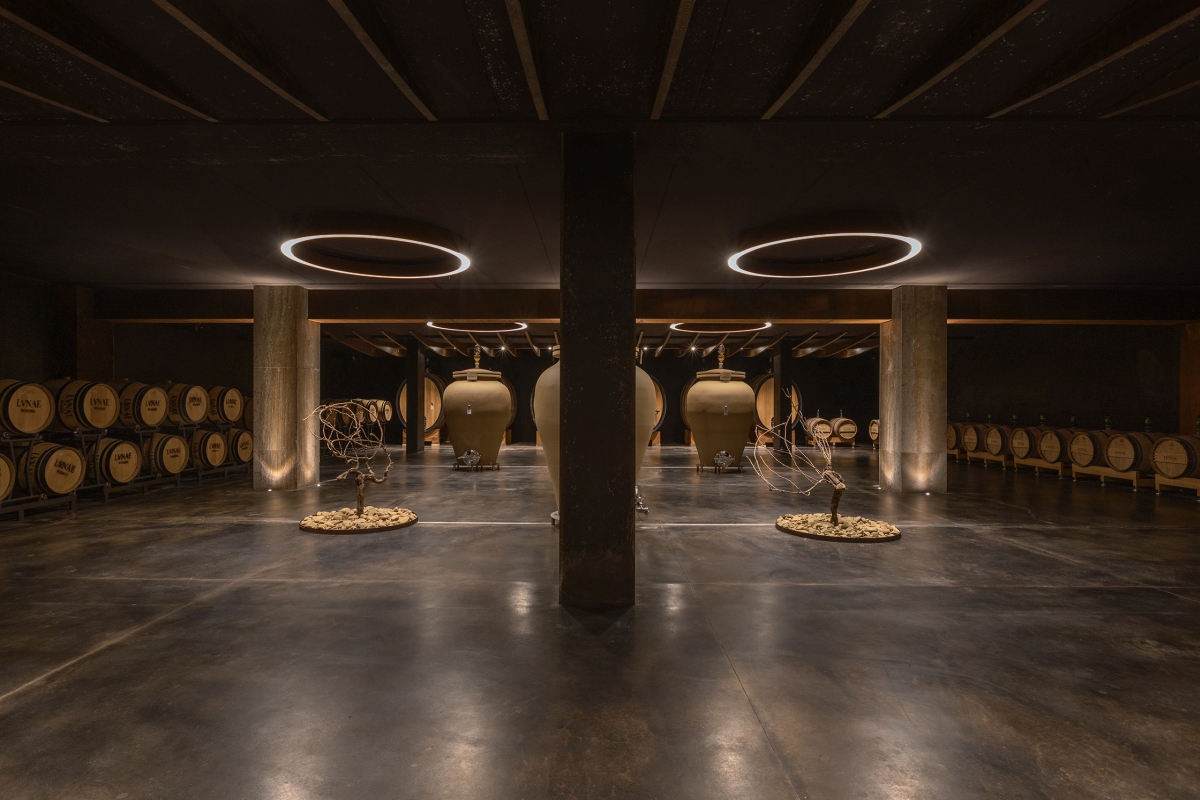 Interno della cantina