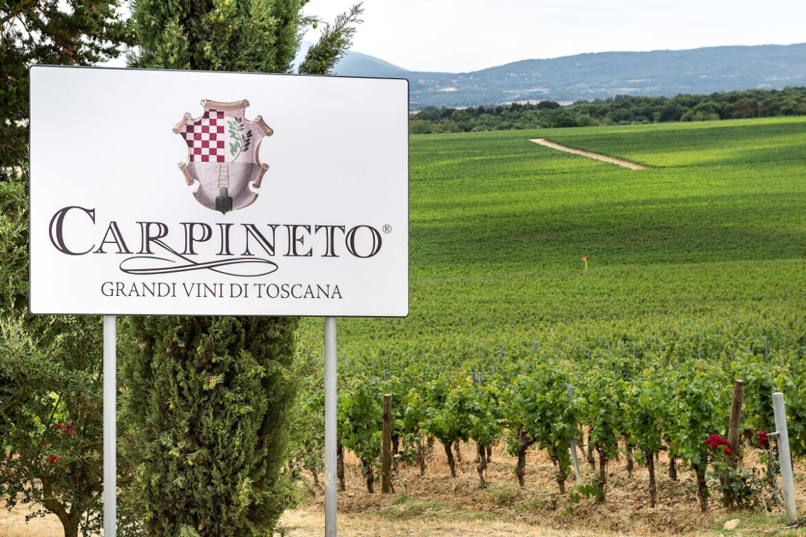 Rid-CARPINETO-Tenuta Montepulciano- ingresso copia