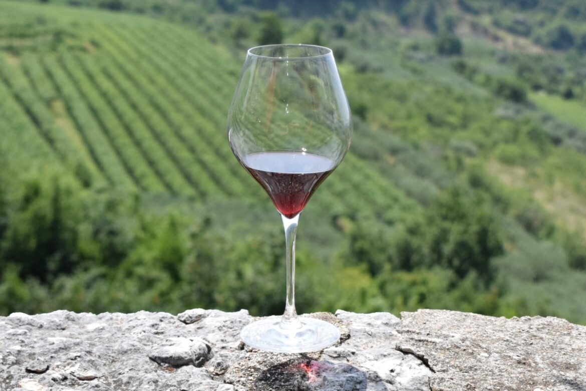 Foto Valpolicella6