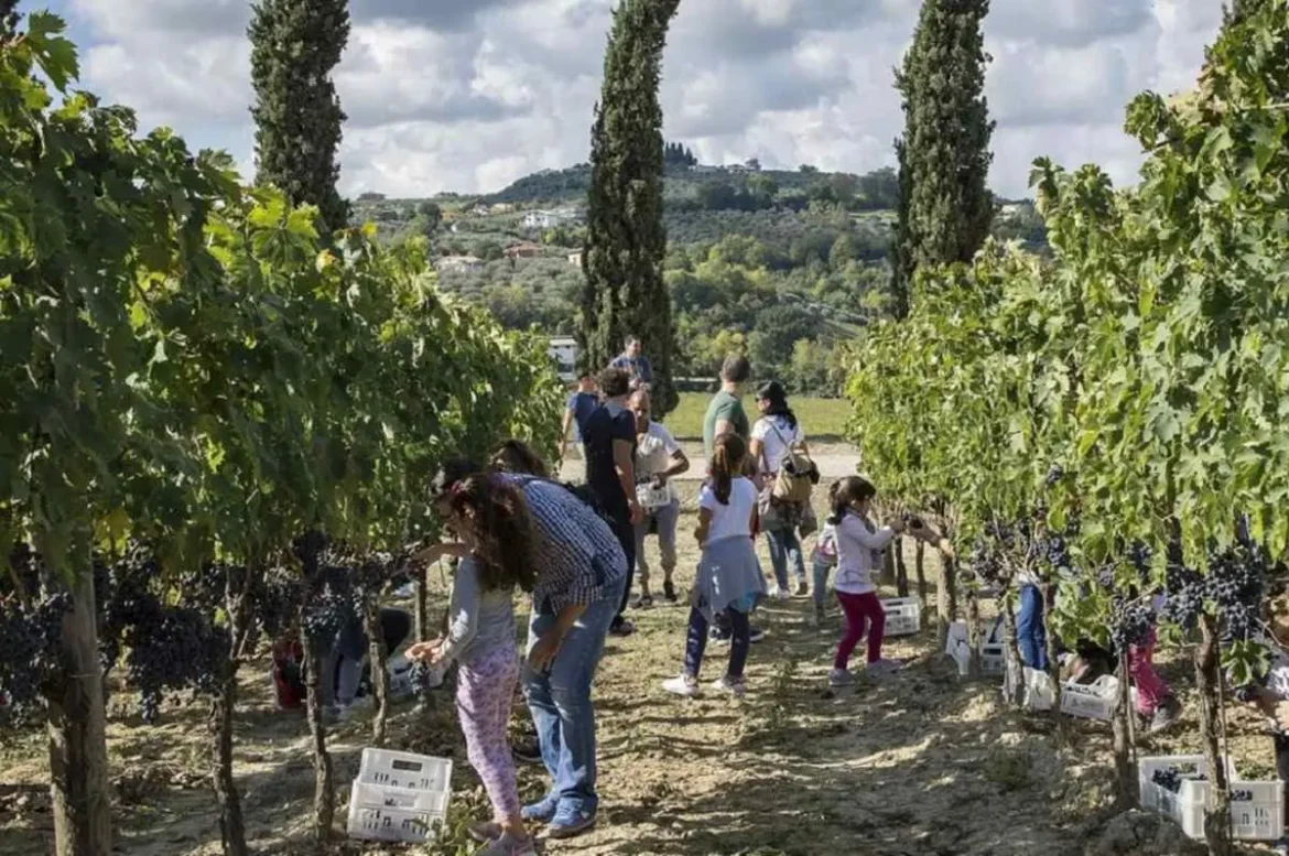 enoturismo_vigne