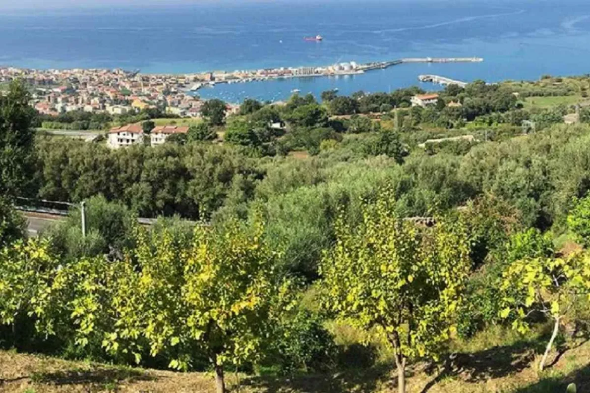 calabria_costa_degli_dei
