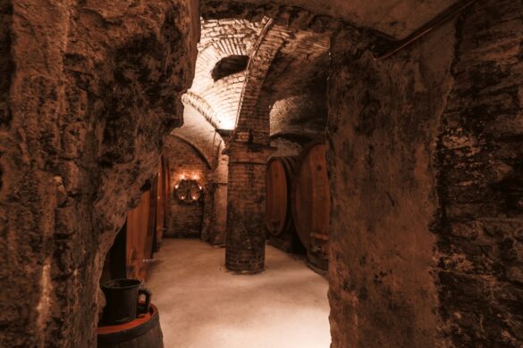 2_A _Pio Cesare _ Cantina-9215