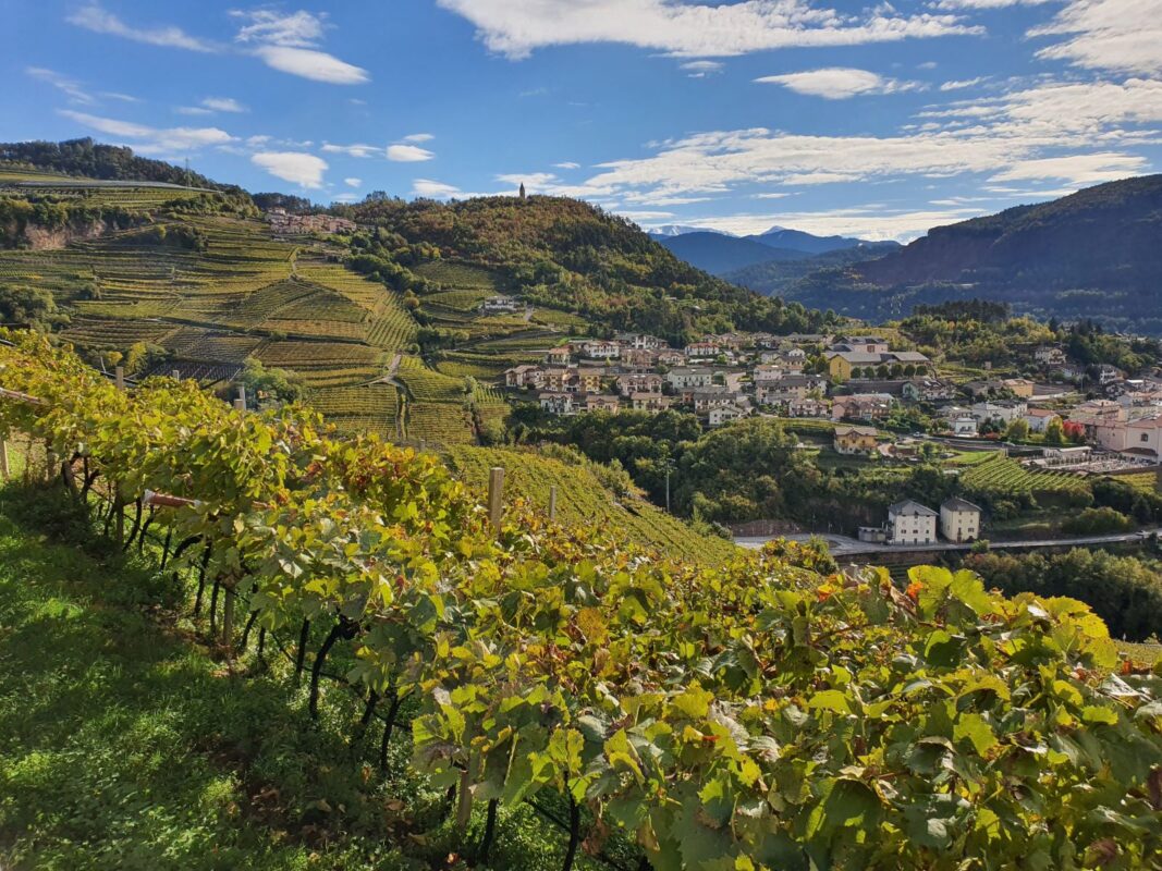 Archivio Apt Fiemme Cembra_Panorama Valle di Cembra (2)_ph. Stefania Casagranda_lr