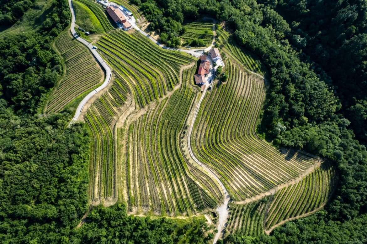 Tenuta Stella