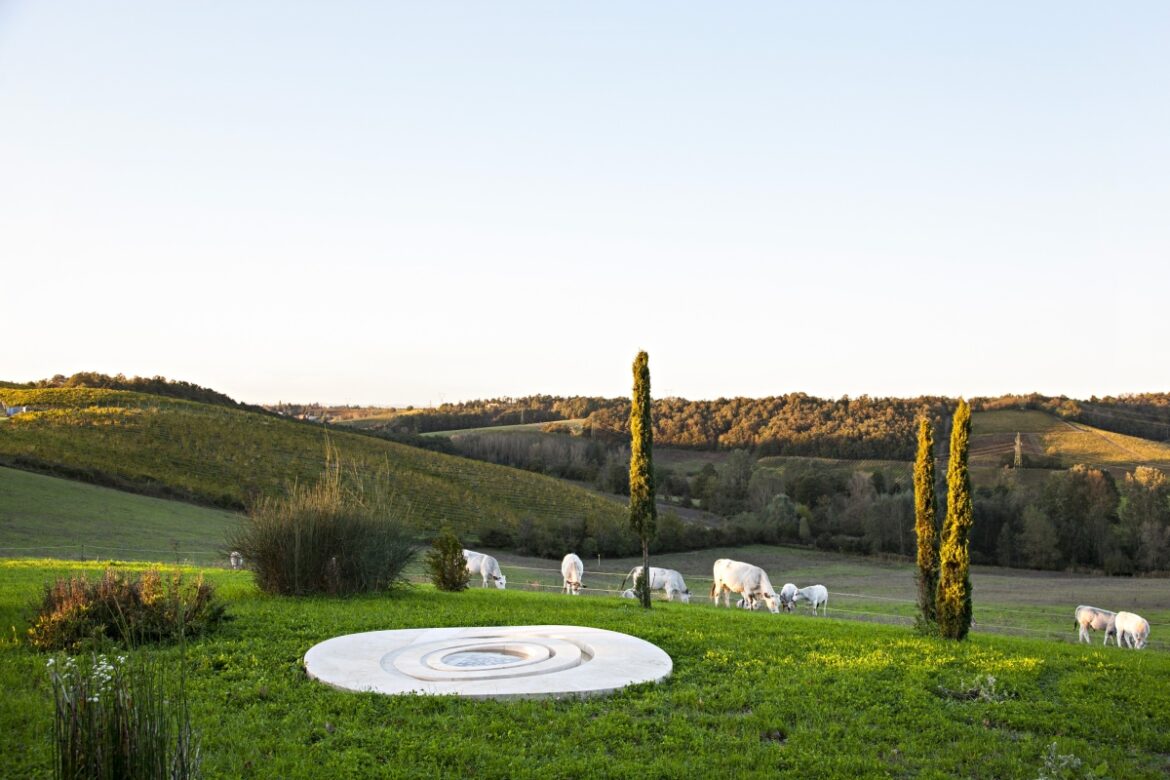 7_RemoSalvadori_FondazioneLaRaia_©FondazioneLaRaia, PhAgostinoOs