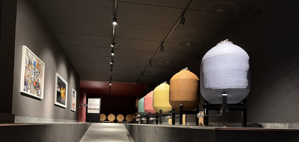 lo spazio espositivo del progetto Art Ferment