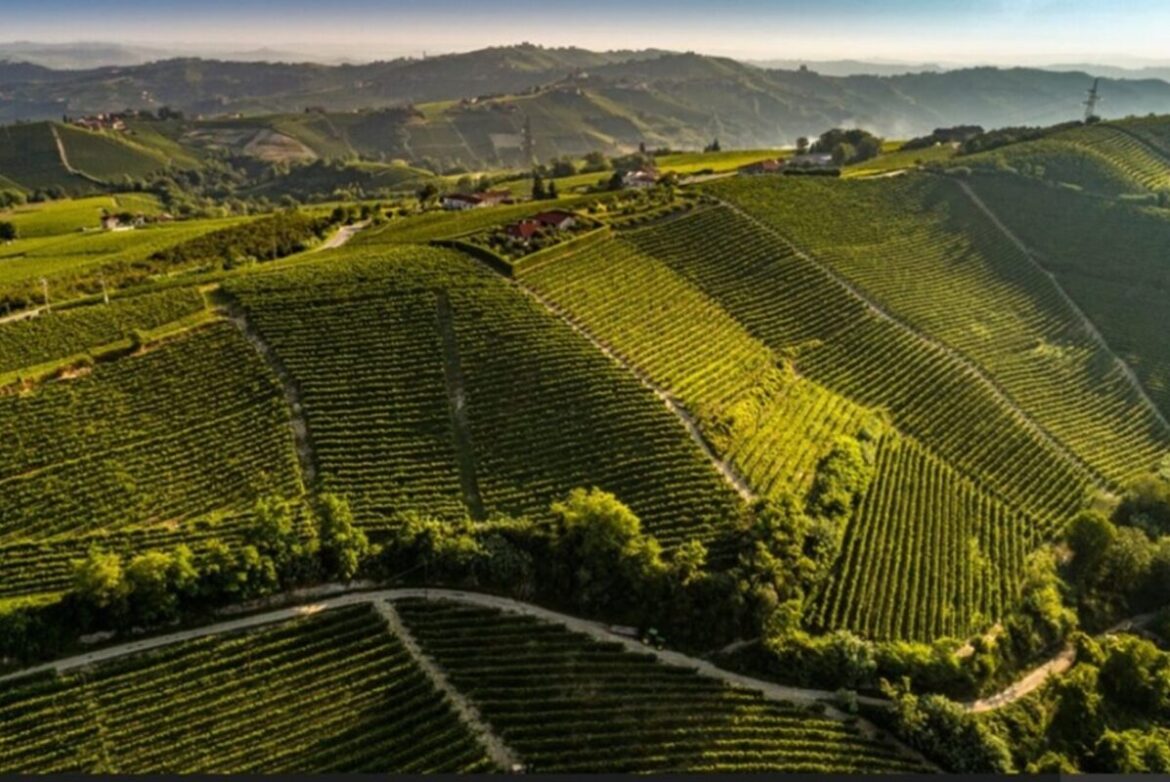 Piazzo, l’Alba di Barbaresco con cinque stelle in enoturismo