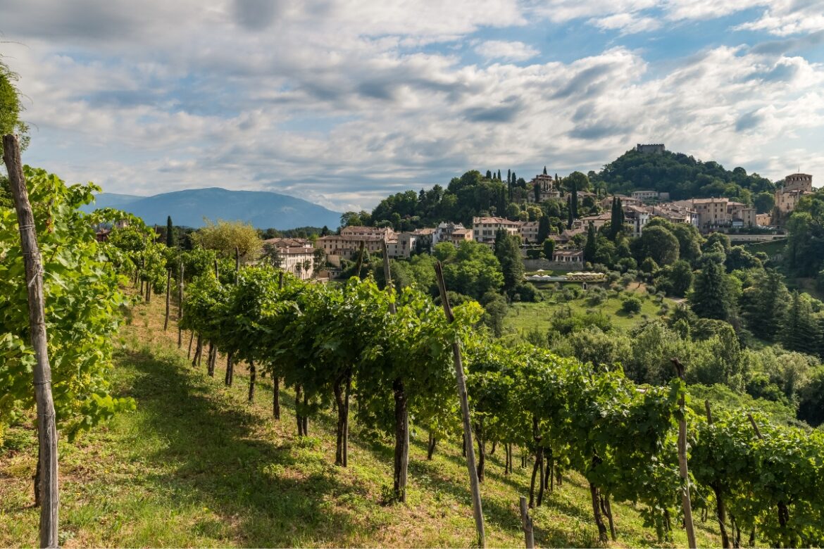 Trekking ad Asolo tra i vigneti di Dal Bello