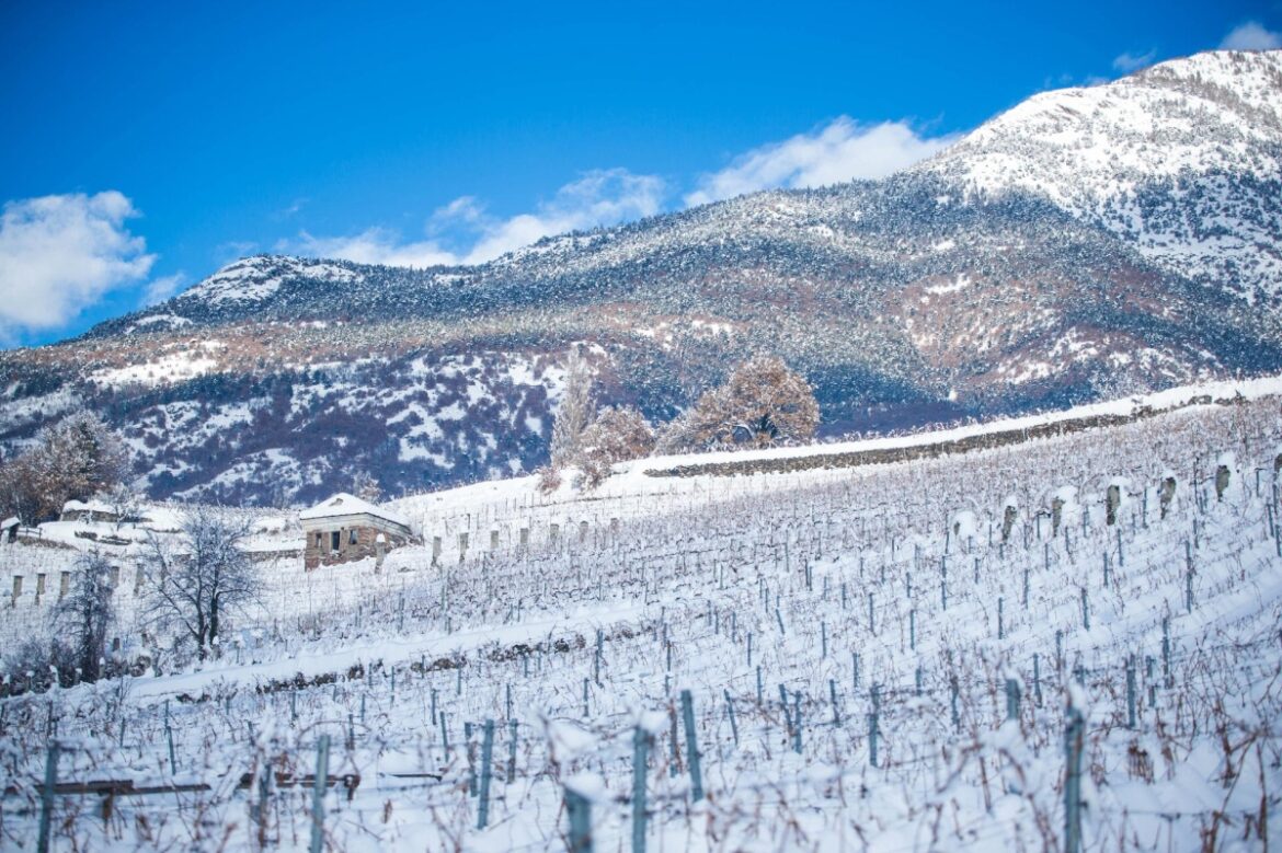 L’apres ski in cantina di Grosjean