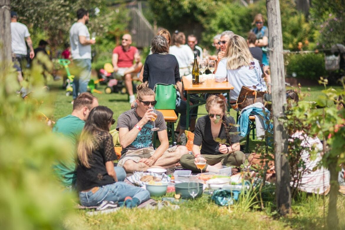 A maggio il sabato si va in cantina (con Fivi)