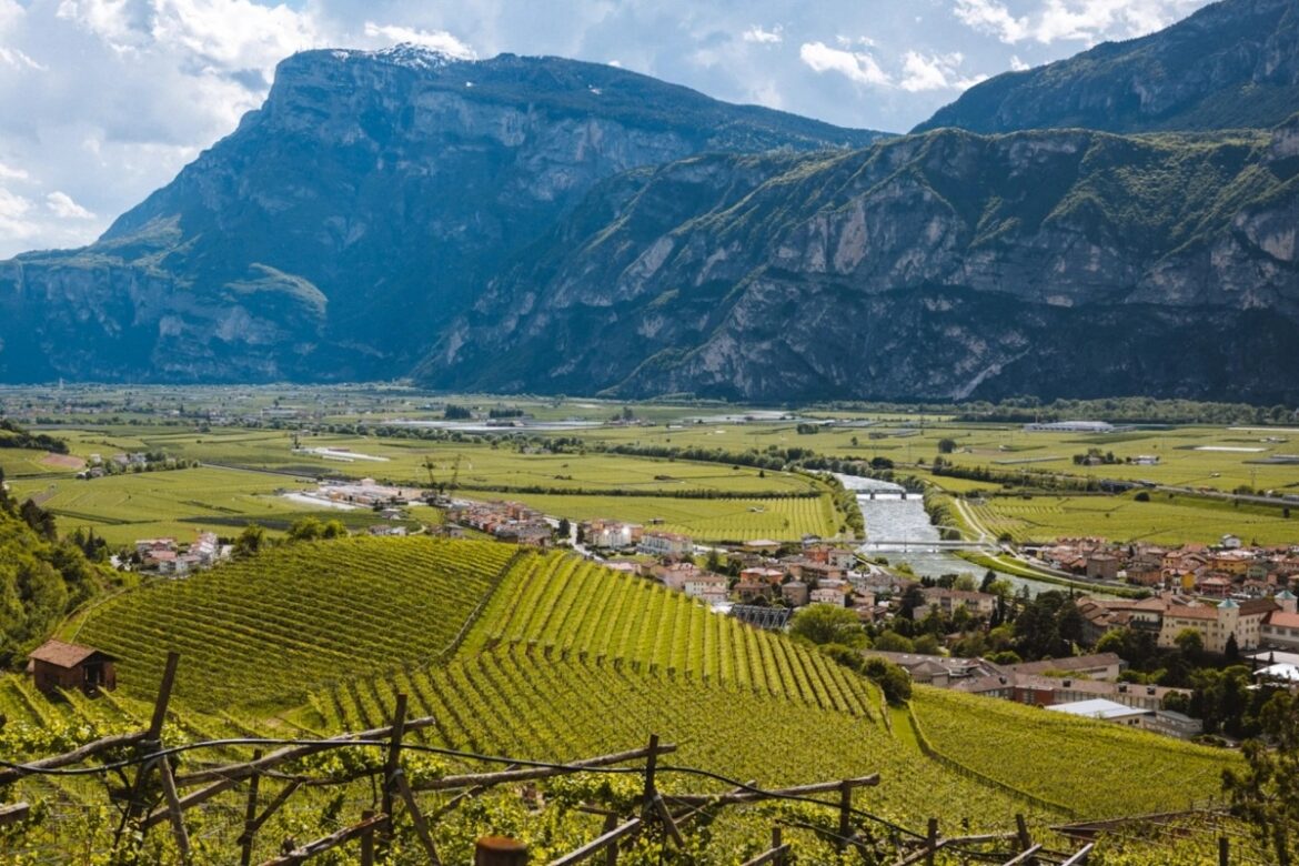 I tre giorni del Teroldego a Mezzocorona