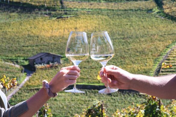 In val di Cembra l'evento del Müller Thurgau