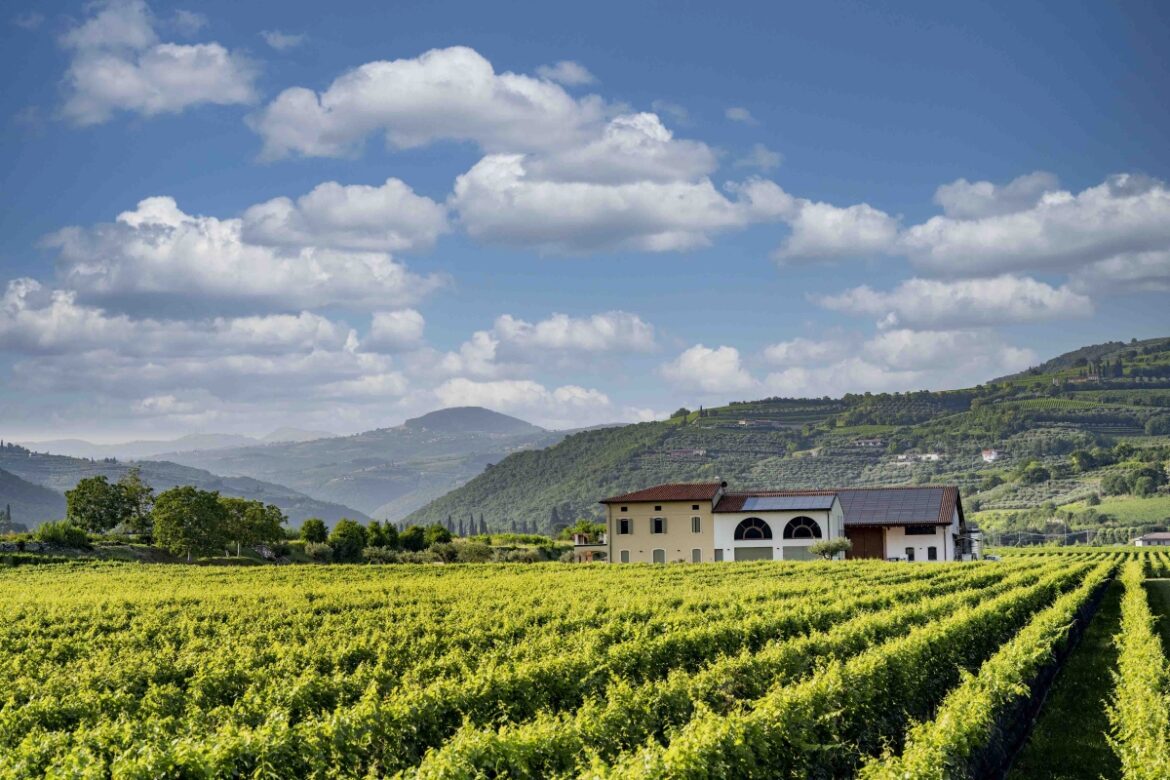Aperitivi in vigna nella valle di Mezzane