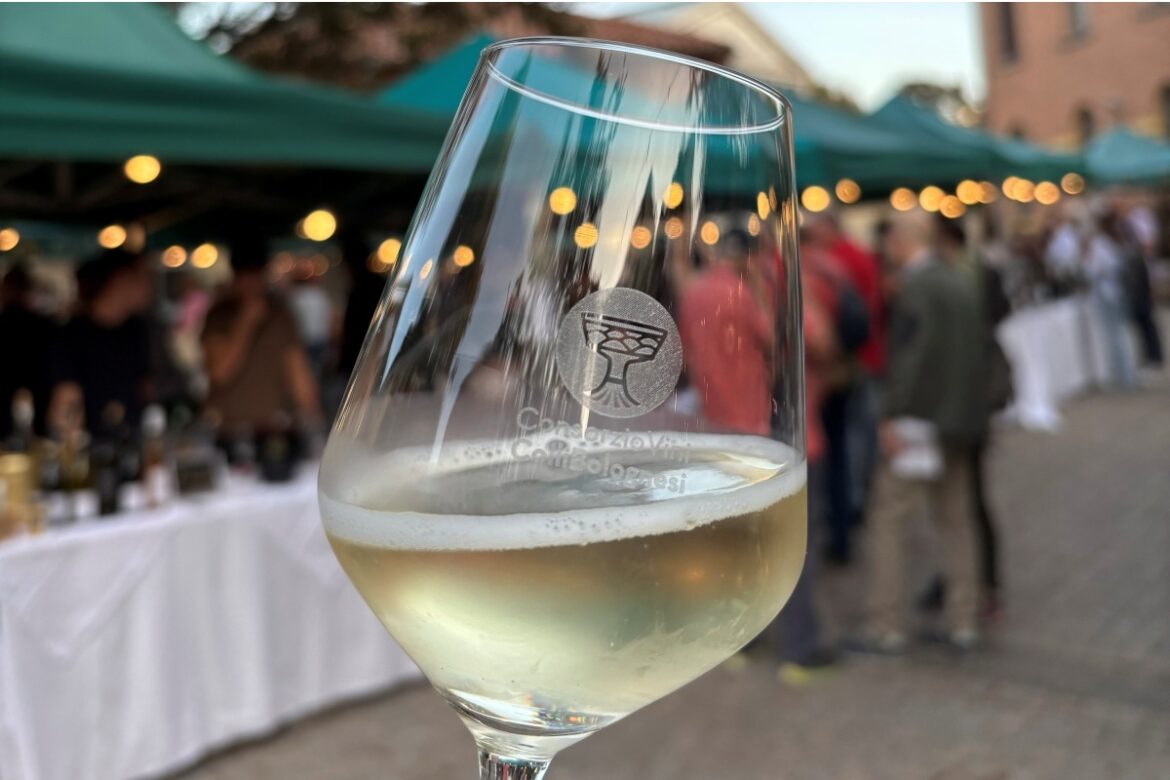 Programmi per settembre? Ecco la mostra dei vini dei Colli Bolognesi