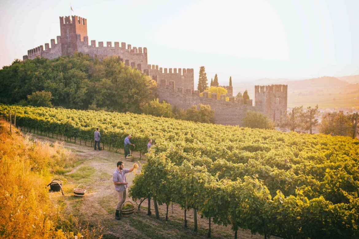 Appuntamento Soave, un giorno da non perdere a Verona