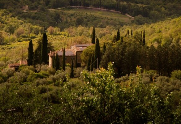 Palazzo Tiglio lancia il Food & Wine Festival di San Pancrazio