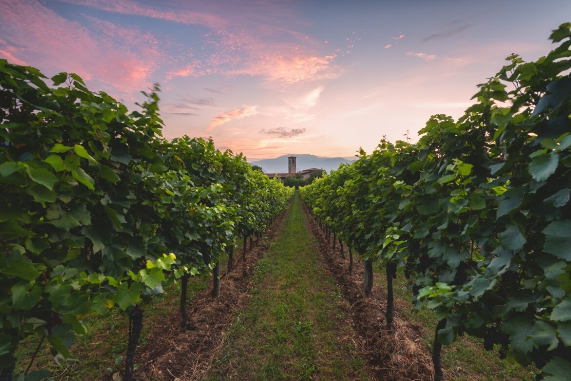 Franciacorta, arriva il weekend del Festival