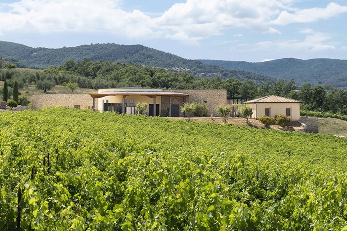 Italian Wine Brands apre all’enoturismo